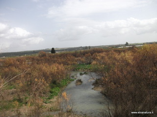 lle del Simeto-24-02-2013 11-43-59